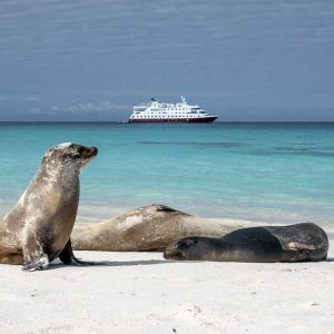 Hurtigruten Expeditie Galapagos | In de voetsporen van Darwin