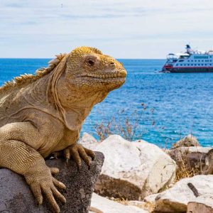 Hurtigruten Expeditie Galapagos | In de voetsporen van Darwin incl. Machu Picchu
