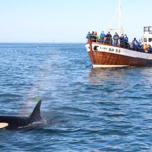 Orka`s & noorderlicht 5 dagen