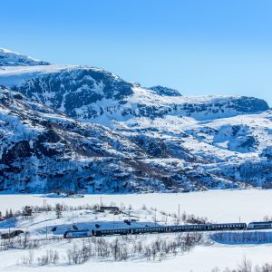 Treinreis Een spoor van fjorden en bergen